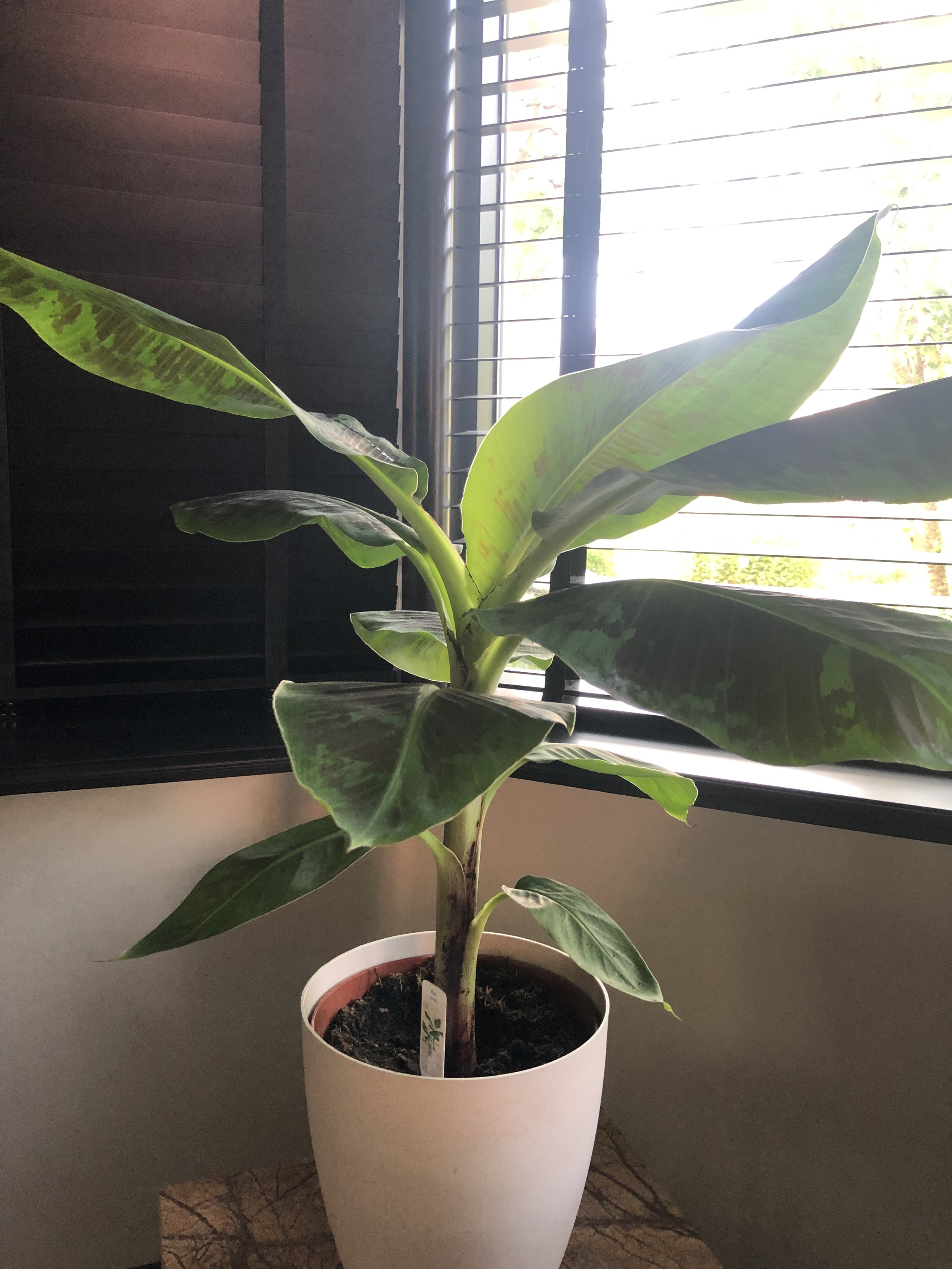 Image: Business, Office & Industrial